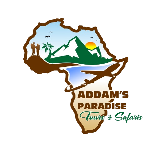 ADAMS-PARADISE-TOURS-SAFARIS-1-removebg-preview-1